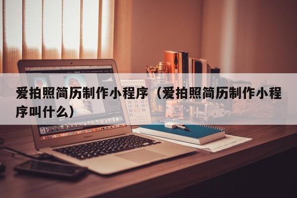 爱拍照简历制作小程序(爱拍照简历制作小程序叫什么)